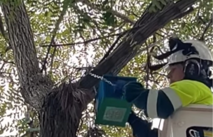 LA EMPRESA PRESEC DE GAVÀ COLOCA CASITAS PARA PÁJAROS DENTRO DEL PROYECTO  DE MEDIO AMBIENTE JUNTO CON  LOS  INTERACT.